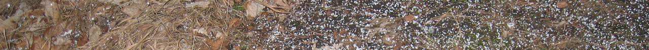 Schneefall am Buschberg (491m).