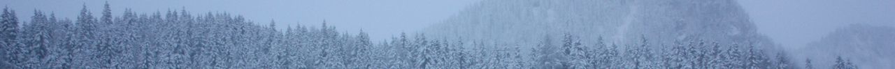Winterliche Stimmung beim Aufstieg zur Wurzeralm.