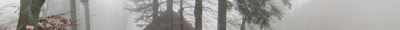 Nebel begleitet mich w�hrend der ganzen Tour.